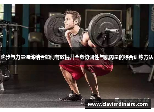 跑步与力量训练结合如何有效提升全身协调性与肌肉量的综合训练方法
