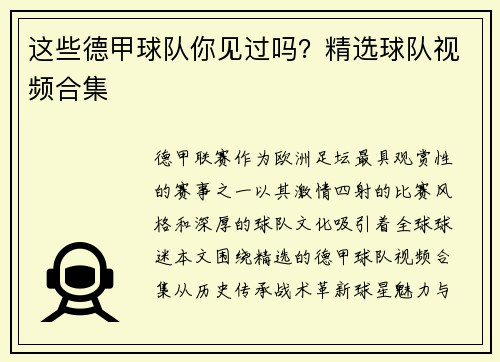 这些德甲球队你见过吗？精选球队视频合集